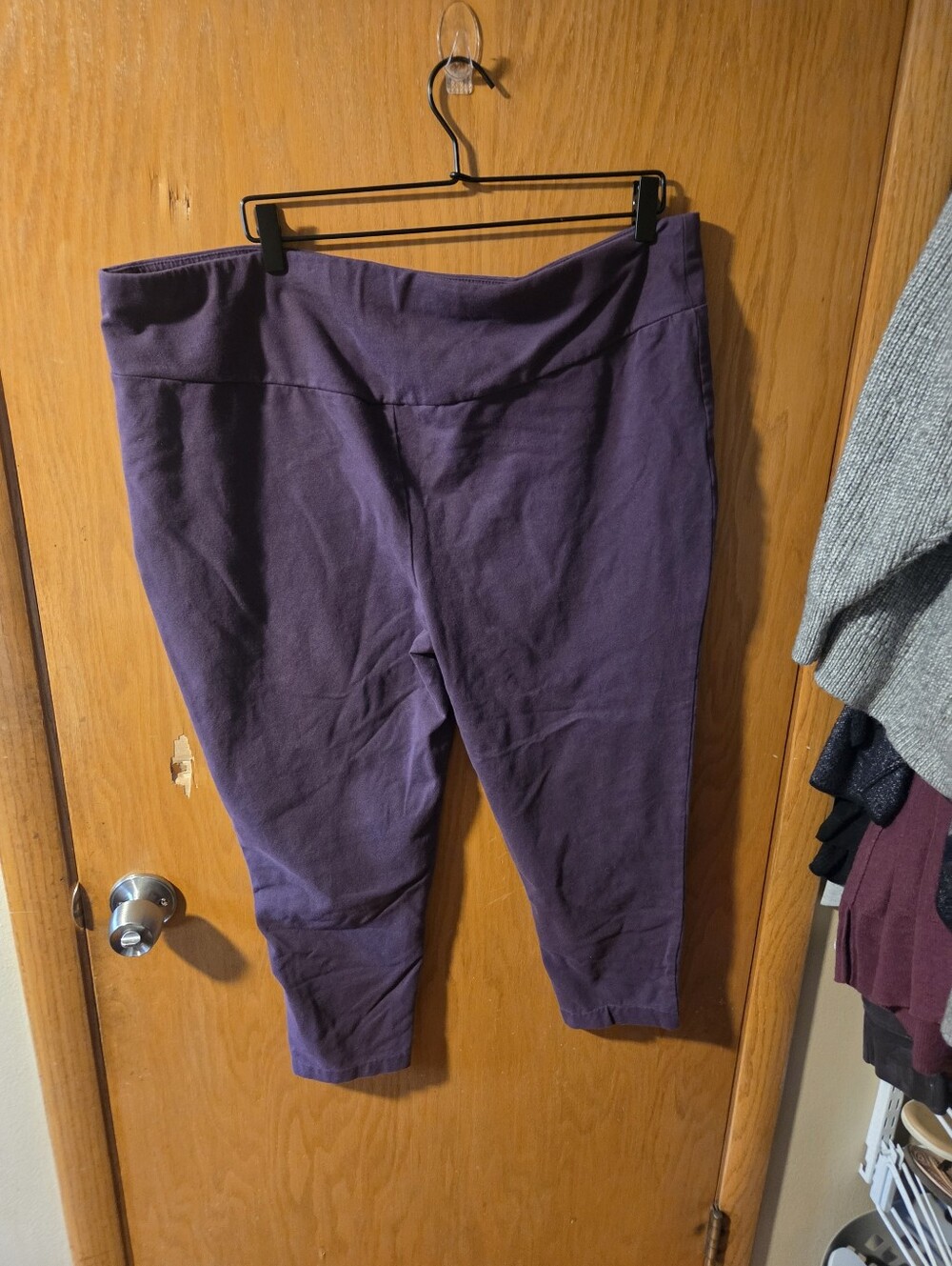 Plus-Size Purple Womens Leggings - Comfortable Stretch Bottoms